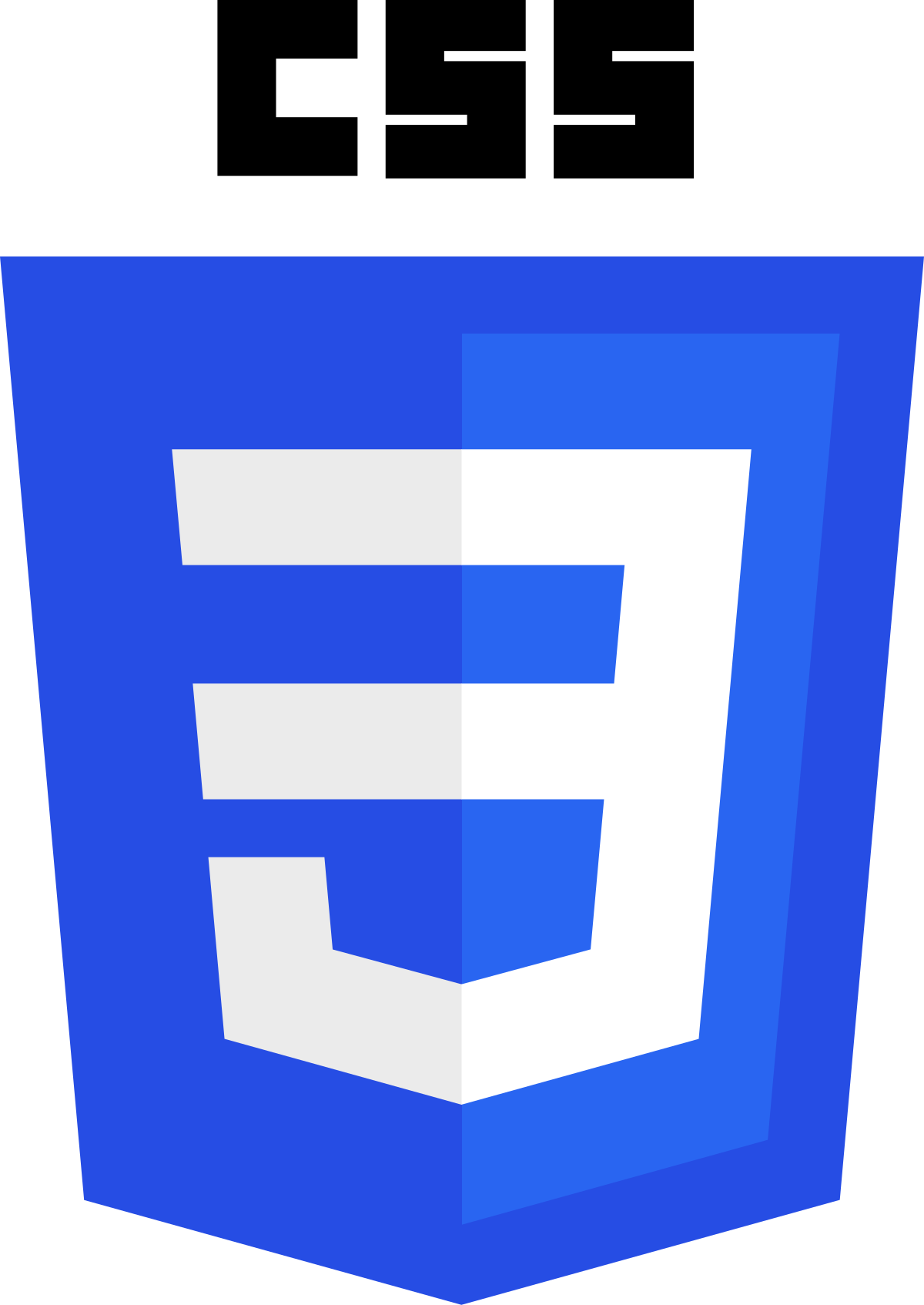 Picture of CSS logo